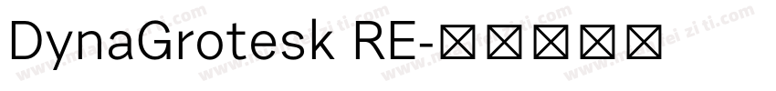 DynaGrotesk RE字体转换
